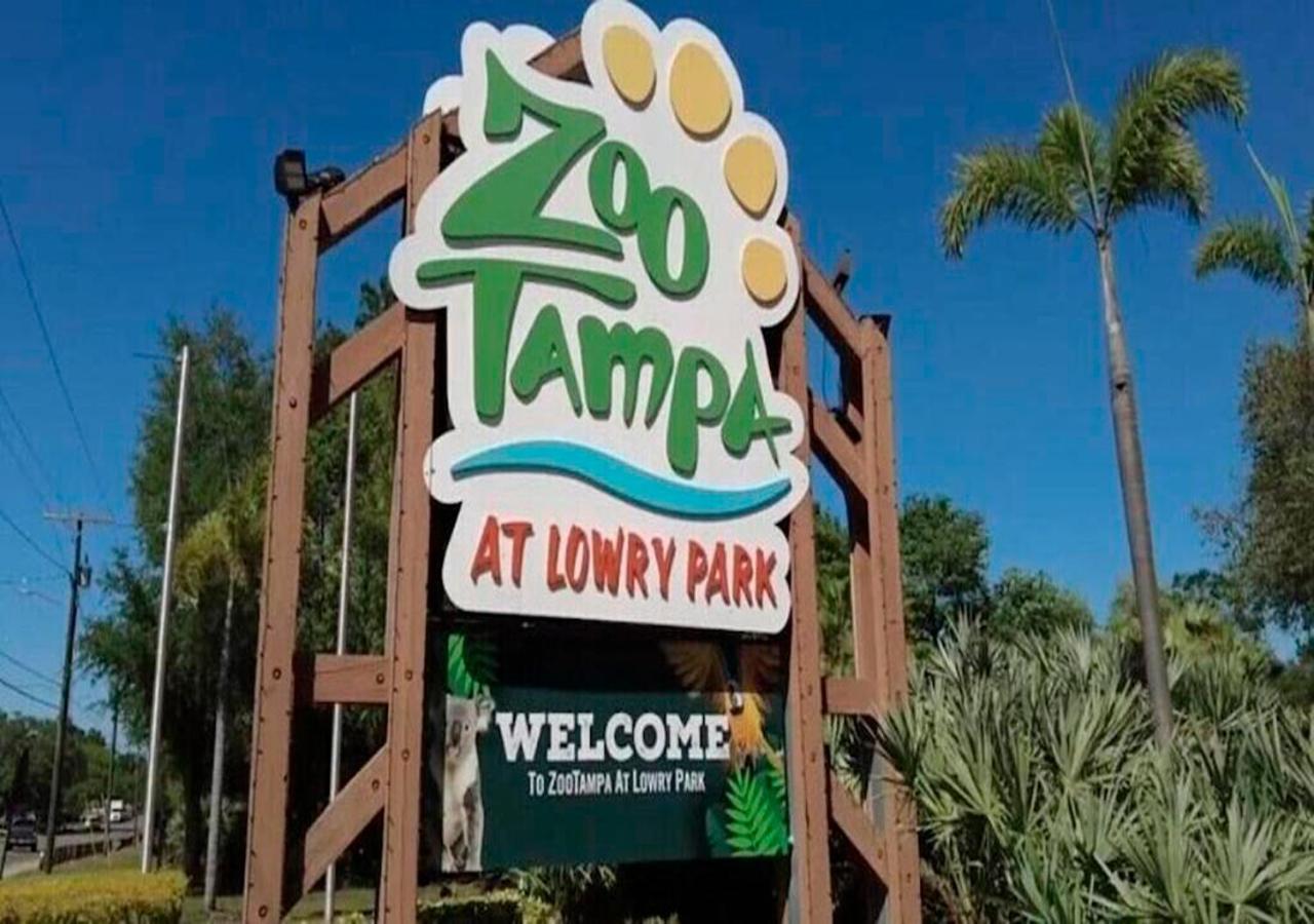 Busch Gardens Bliss Suite -1 Tampa Eksteriør bilde